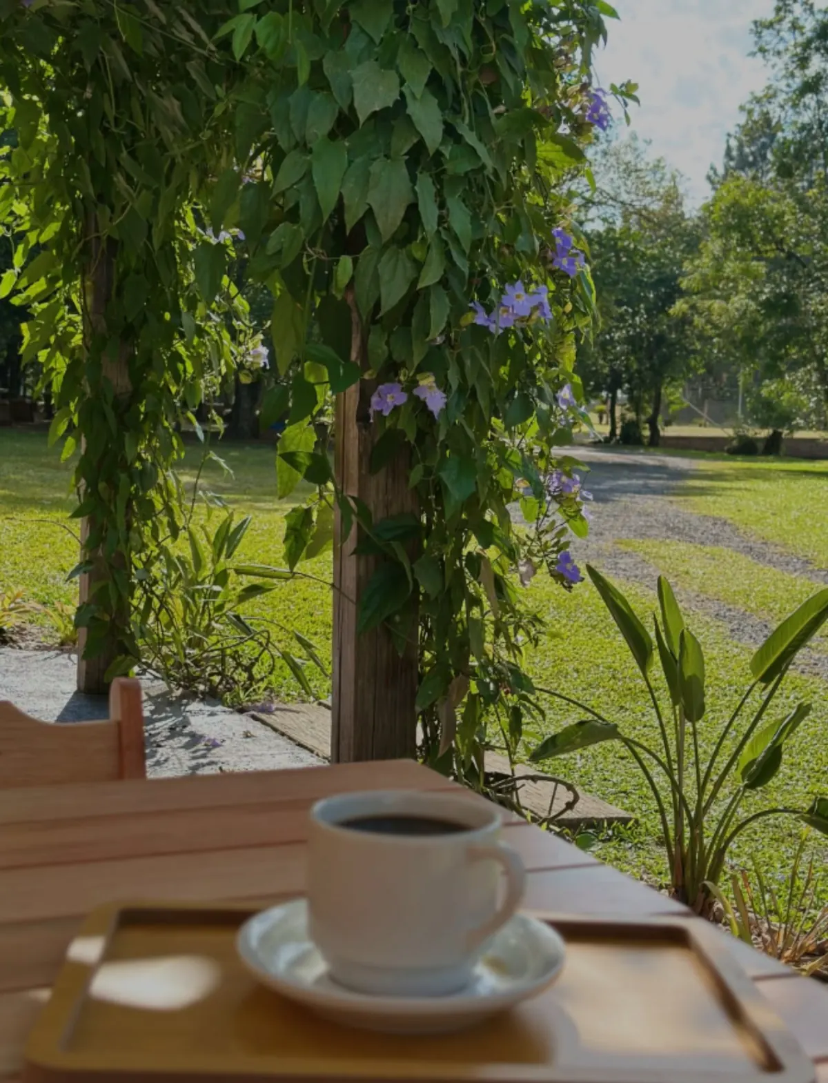 Café da manhã servido em ambiente acolhedor do Clube Oásis